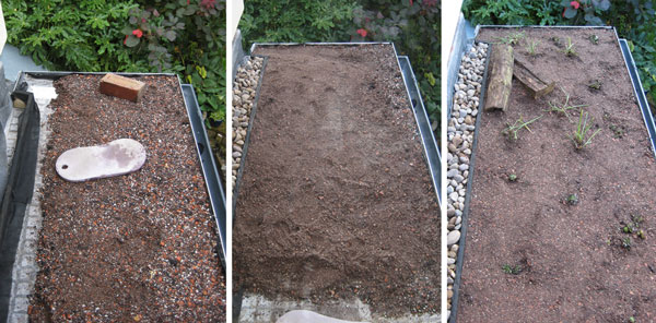 Three photographs of the green roof under construction with the growing media and planting