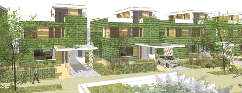 Hedge Home British Homes Awards 2017 street view